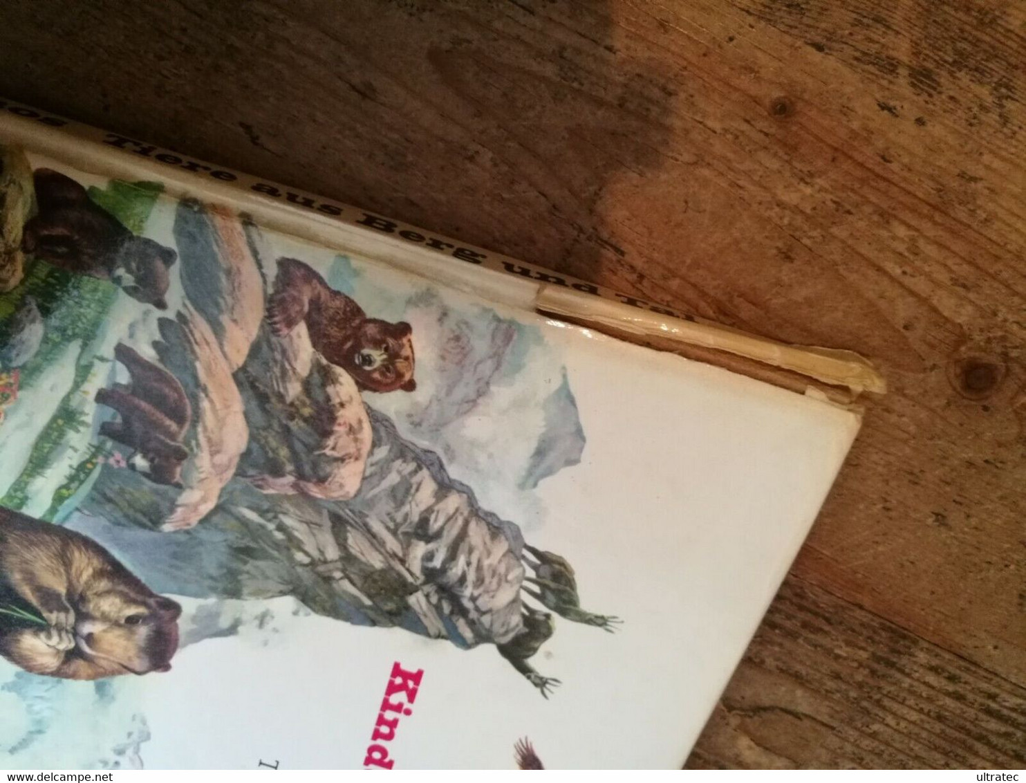 Bunter Kinder Kosmos «Tiere Aus Berg Und Tal» Tolles Antikes Kinderbuch 1976 - Sapere