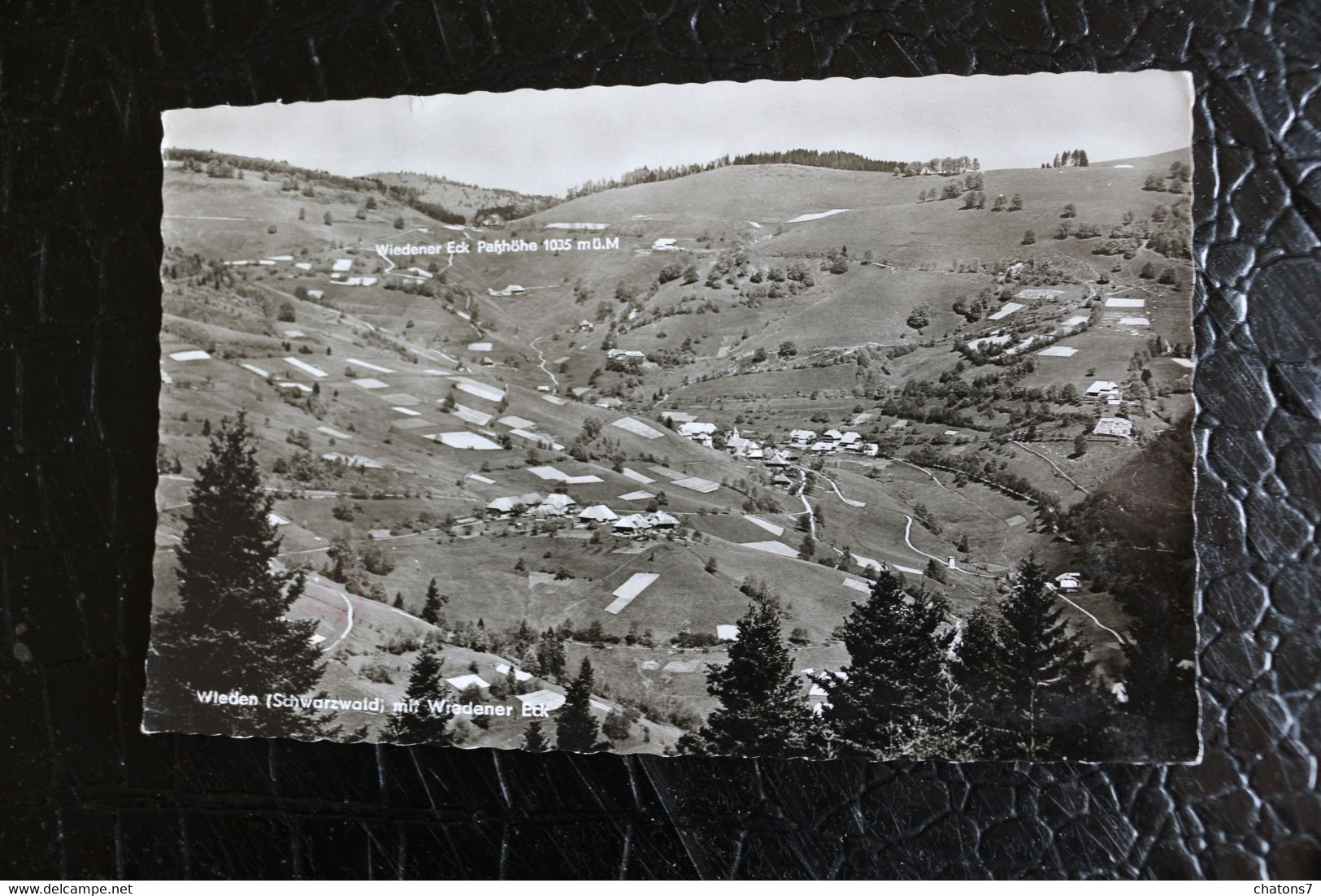 E 295 - Bad-Wurtenberg - Todtnauberg - Vue Des Montagnes - Circulé 1964 - Todtnau