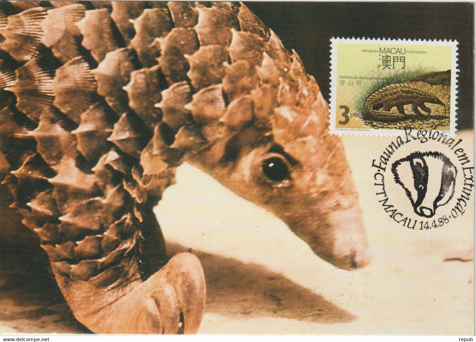 Macao Carte Maximum 1988 Pangolin 562 - Tarjetas – Máxima