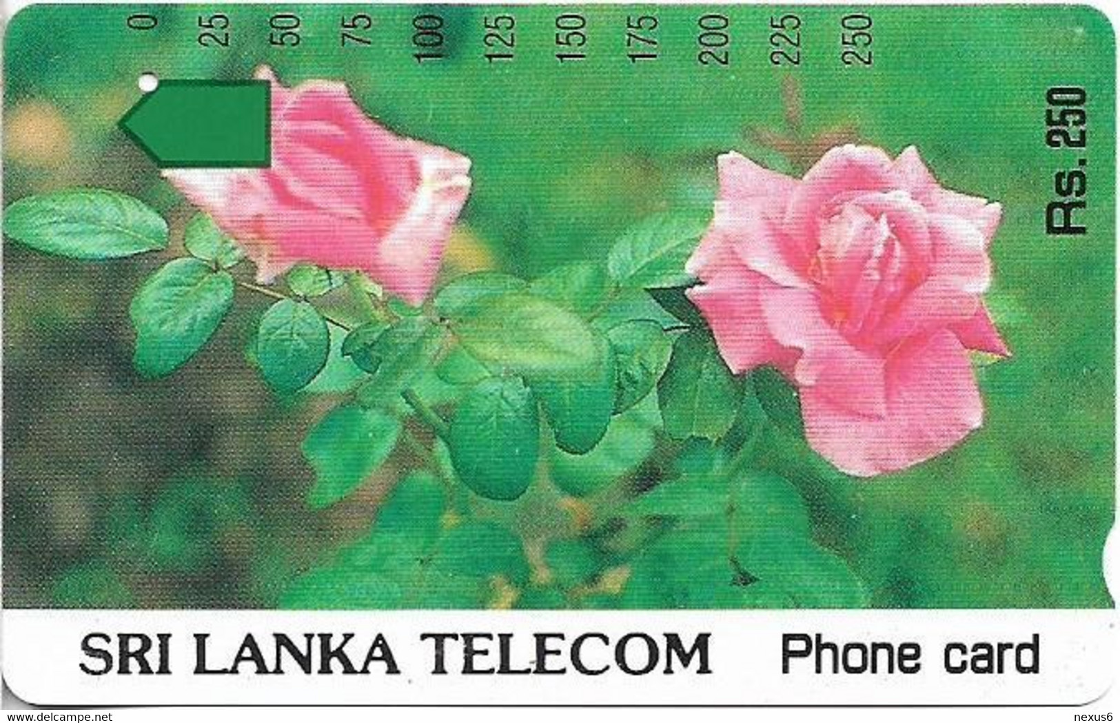 Sri Lanka - STL (Anritsu) - Roses, 250Rs, Used - Sri Lanka (Ceilán)