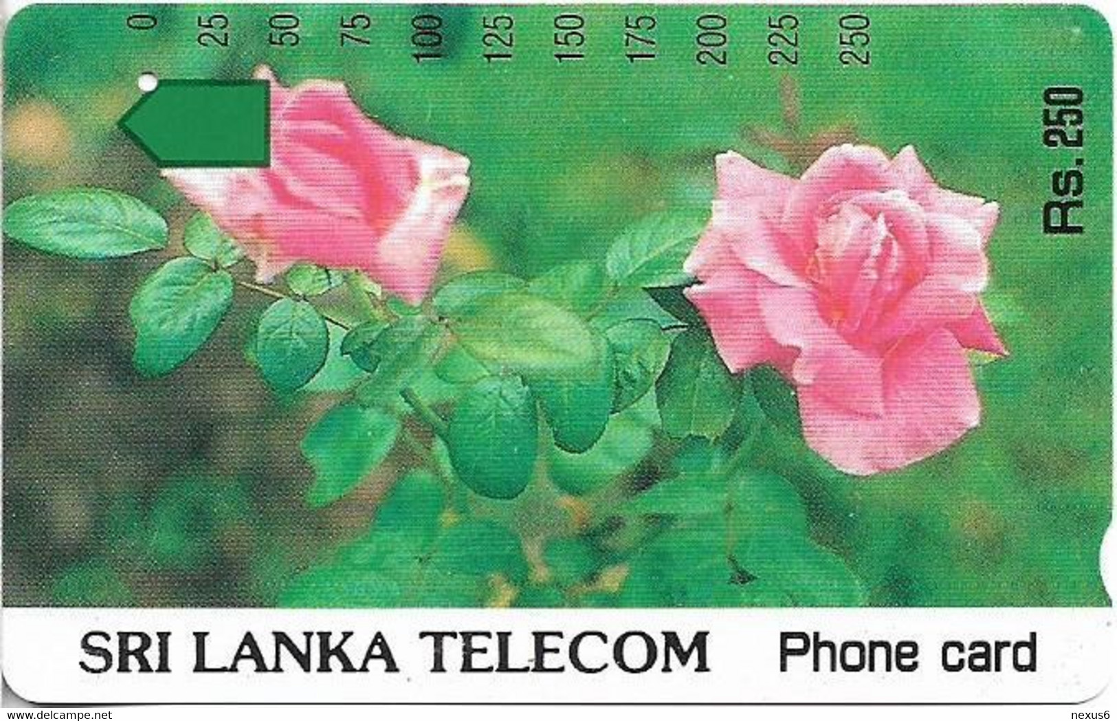 Sri Lanka - STL (Anritsu) - Roses, 250Rs, Used - Sri Lanka (Ceylon)