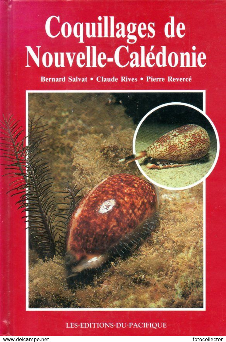 Coquillages De Nouvelle-Calédonie Par Salvat, Rives, Revercé (ISBN 981204017X) - Outre-Mer