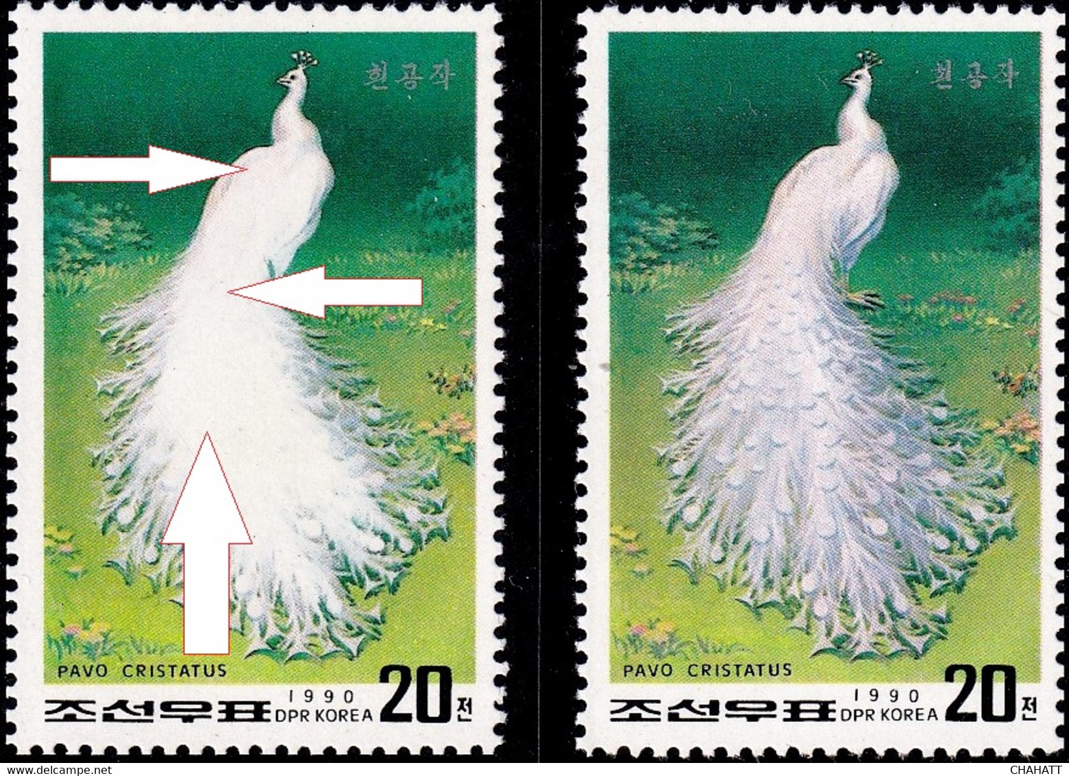 WHITE PEACOCK- PHEASANTS-ERROR WITH NORMAL -EYELETS MISSING- KOREA- 1990-EXTREMELY SCARCE- MNH-BR4-16 - Pauwen