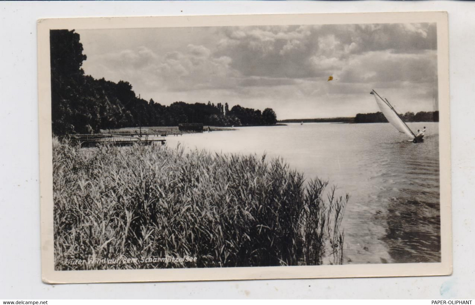 0-1240 FÜRSTENWALDE, Scharmützelsee, 1956 - Fuerstenwalde