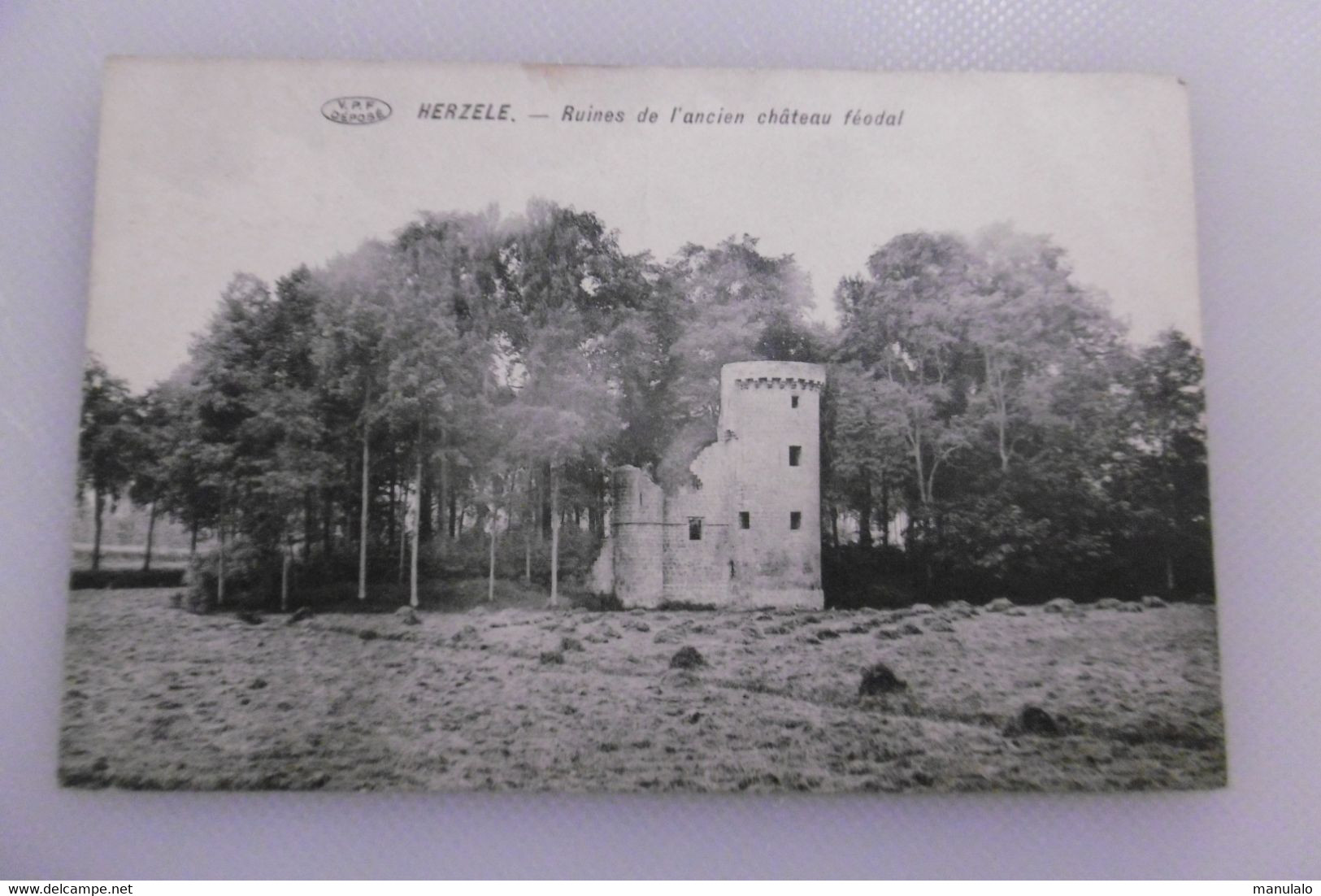 Herzele - Ruines  De L'ancien Château Féodal - Herzele