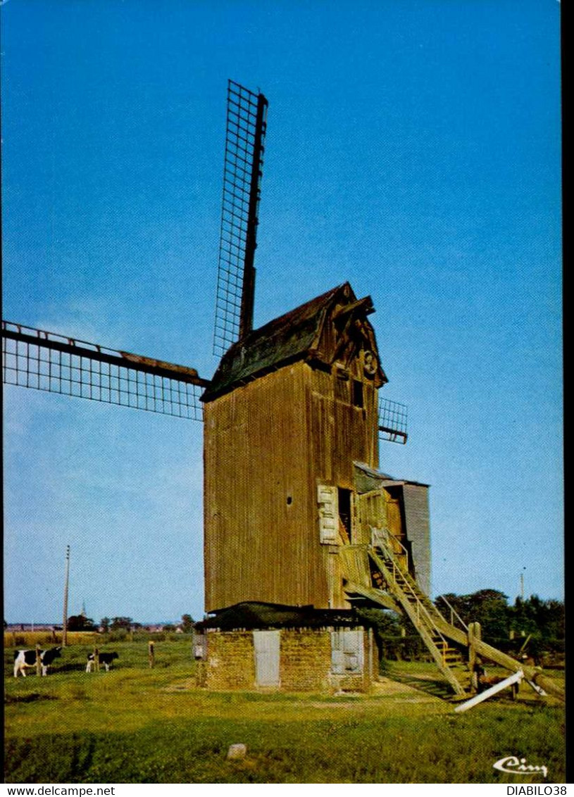 STEENVOORDE    ( NORD )   MOULIN EN FLANDRE - Steenvoorde