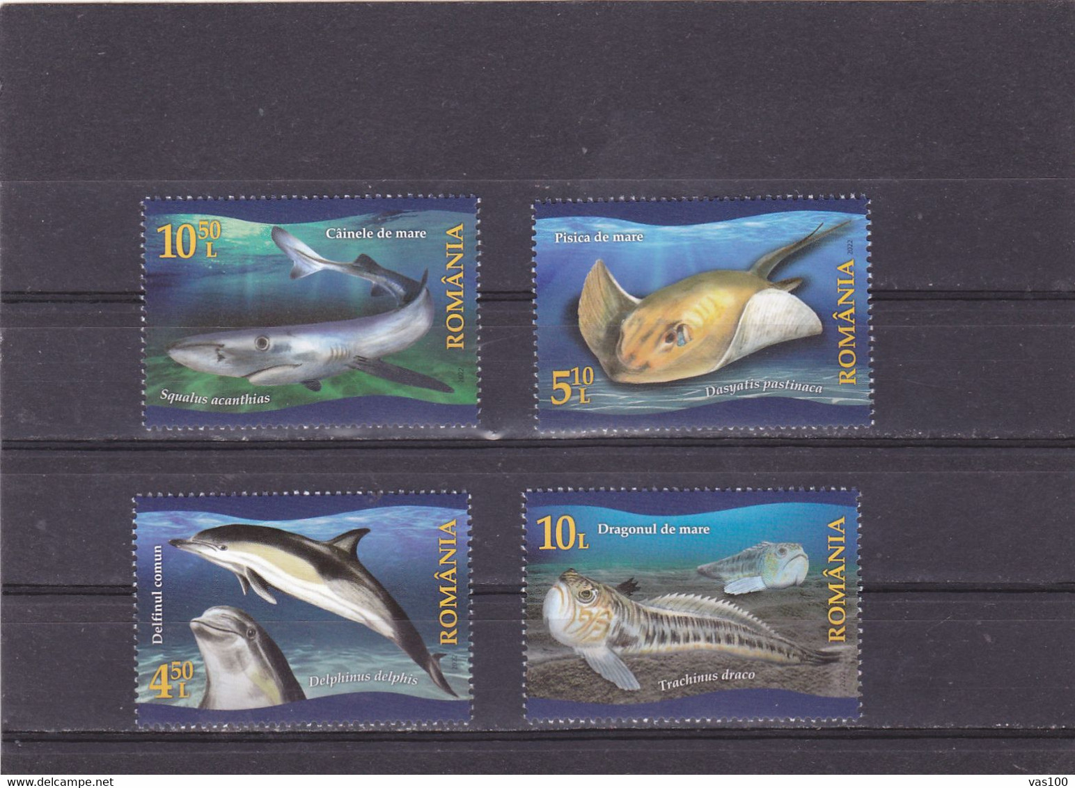 ROMANIA, 2022, MNH, BLACK SEA FAUNA, DOLPHINS, SHARKS, FISH, STING RAYS, 4v - Unused Stamps