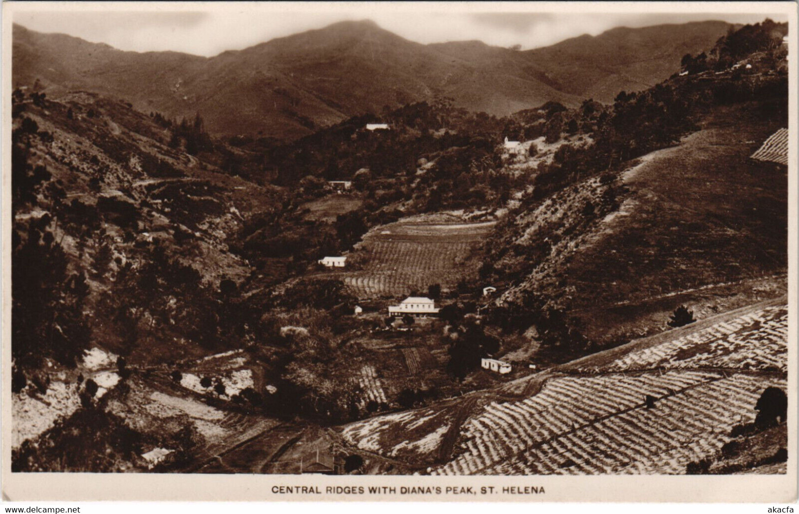 PC SAINT HELENA, DIANA'S PEAK, Vintage REAL PHOTO Postcard (b44192) - Santa Helena