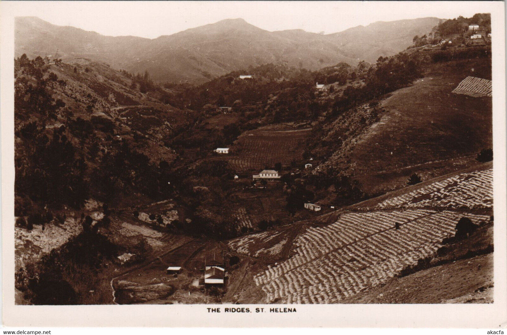 PC SAINT HELENA, THE RIDGES, Vintage REAL PHOTO Postcard (b44194) - Sainte-Hélène