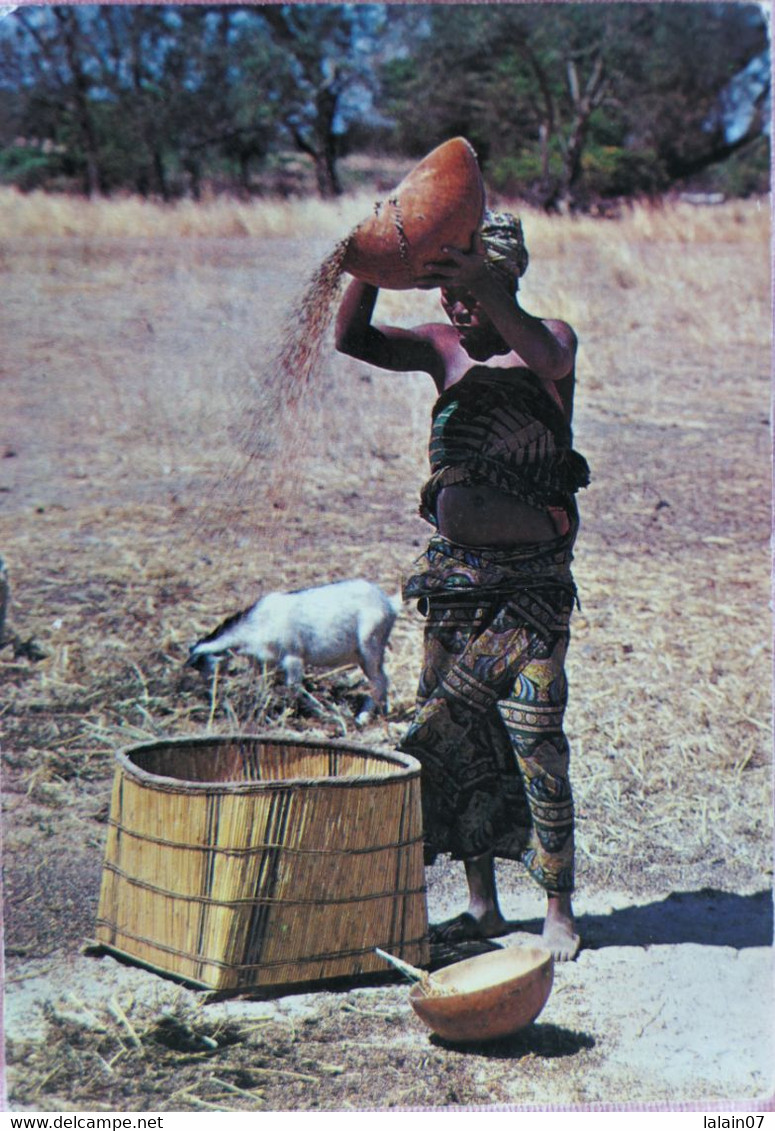 Carte Postale : Burkina Faso : Haute-Volta : Près De Koudougou, Geste Quotidien, Timbre En 1978 - Burkina Faso