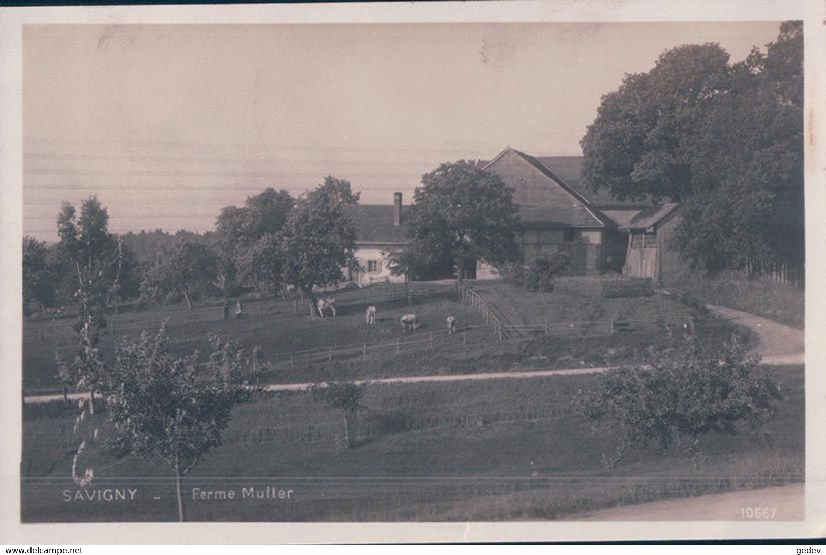 Savigny VD, Ferme Müller (10667) - Savigny