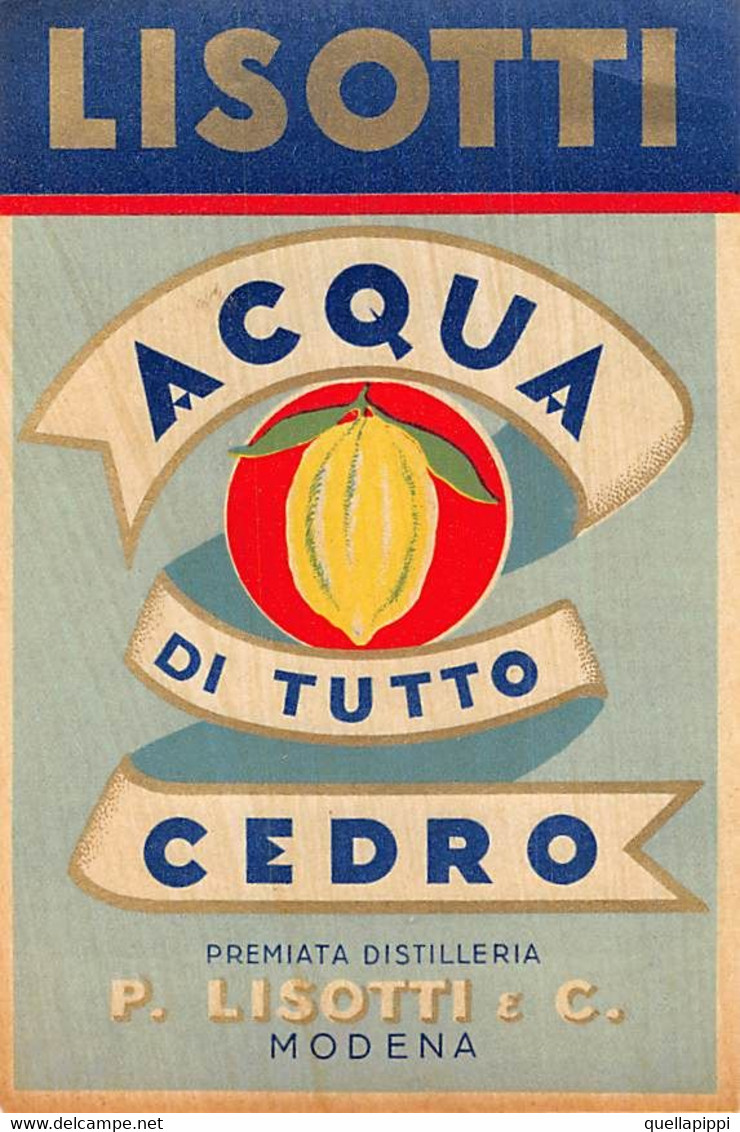 014336 "MODENA - DISTILLERIE EMILIANE P. LISOTTI & C. - ACQUA DI TUTTO CEDRO"  ETICHETTA II QUARTO XX SEC. - Fruits Et Légumes