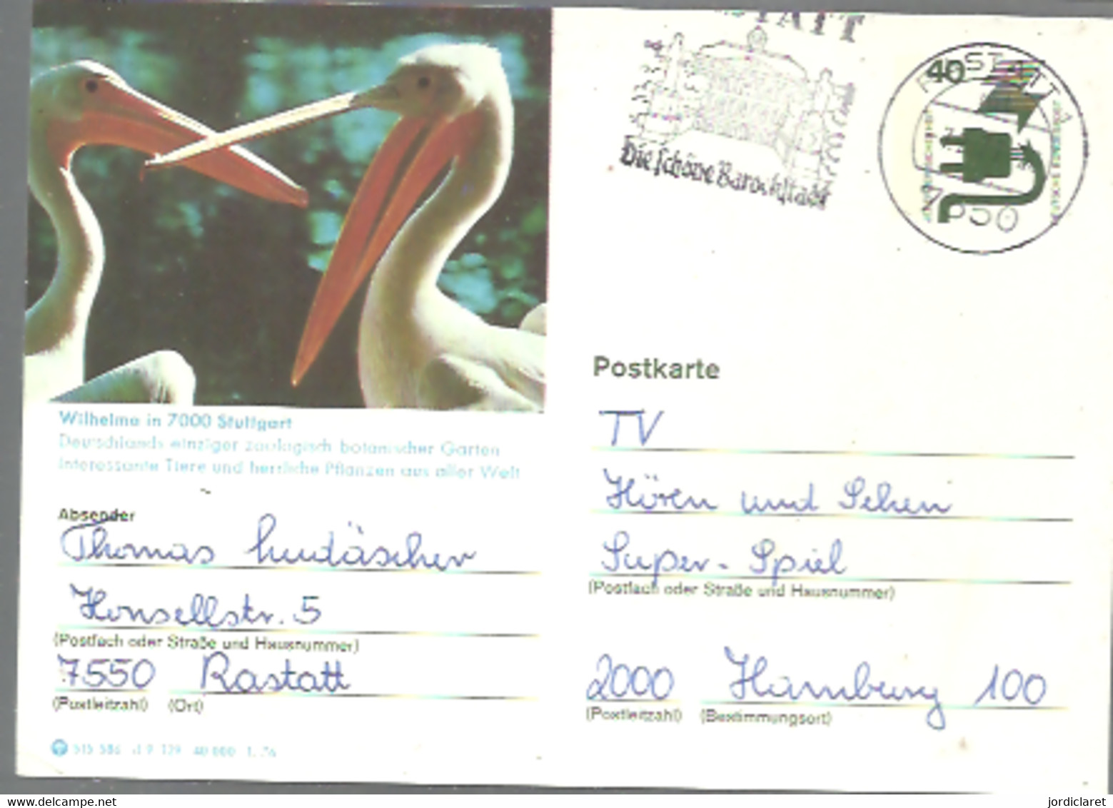 POSTKARTE   GERMANY - Flamingos