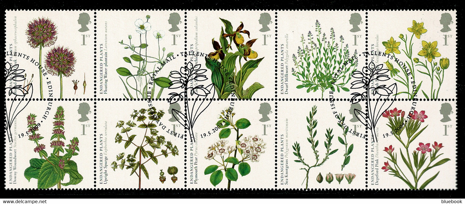 Ref 1568 - GB 2009 - Flowers Species - SG 2931/40 Se-Tennant Block Of 10 Used Stamps - Gebraucht