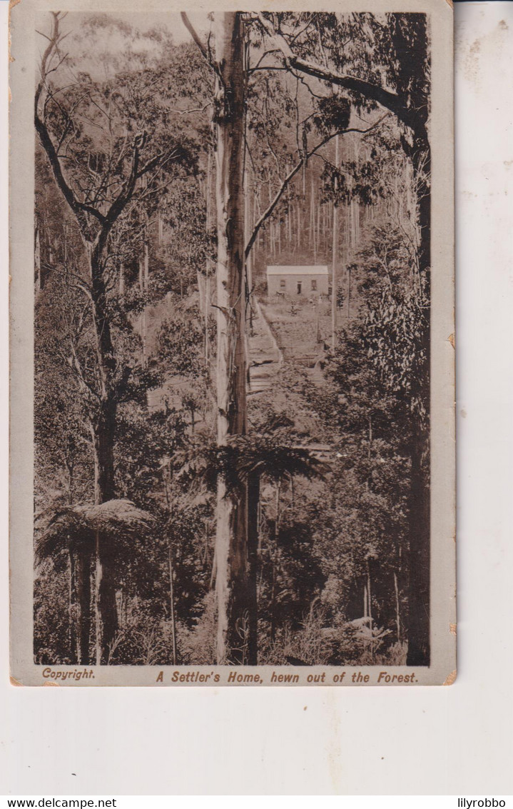 AUSTRALIA -  A Settlers Home Hewn Out Of The Forrest -  AGJ Series  RPPC - Outback