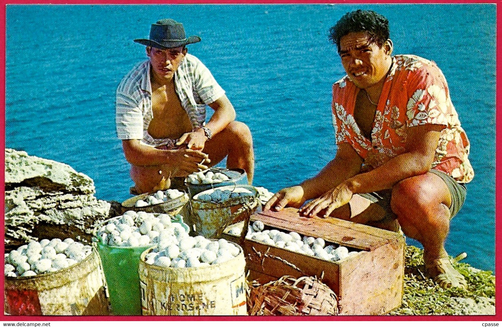 CPM Polynésie Française - TAHITI - Récolte Des Oeufs De Kaveka Sur L'Ile De UA-HUKA - Polynésie Française