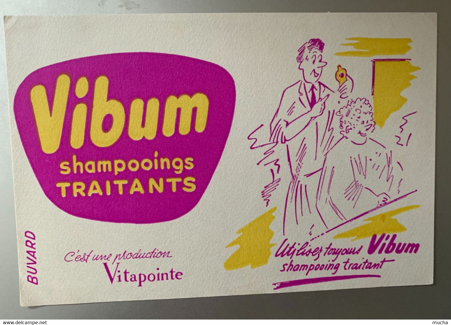 47 - Buvard Vibum Shampooings Traitants - Perfume & Beauty