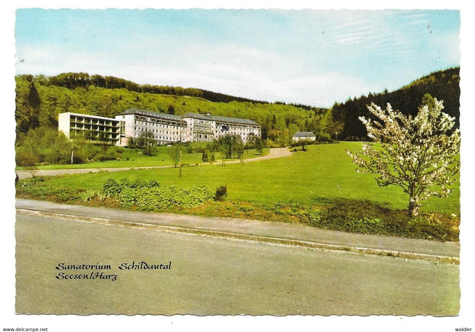 3370  SEESEN/HARZ - SANATORIUM SCHILDAUTAL - Seesen