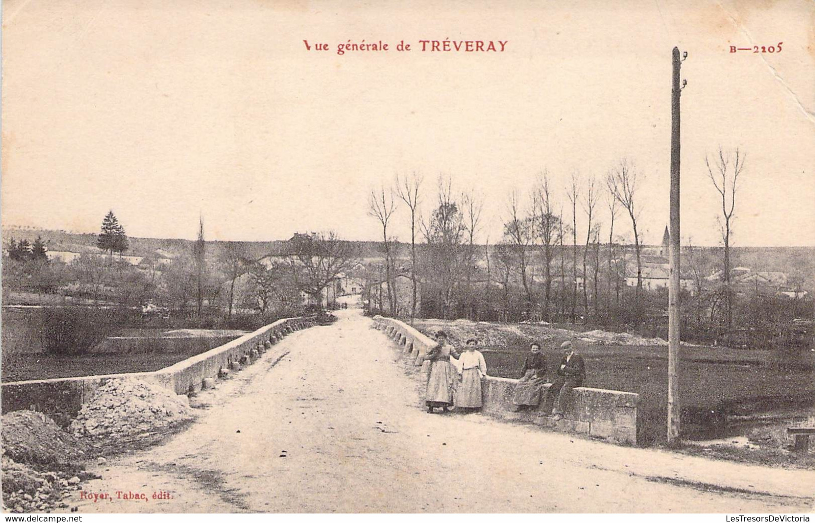 CPA France - Vue Générale De Tréveray - Animée - Pont - Route - Paysage - Non Affranchie - Royer Edit - Other & Unclassified