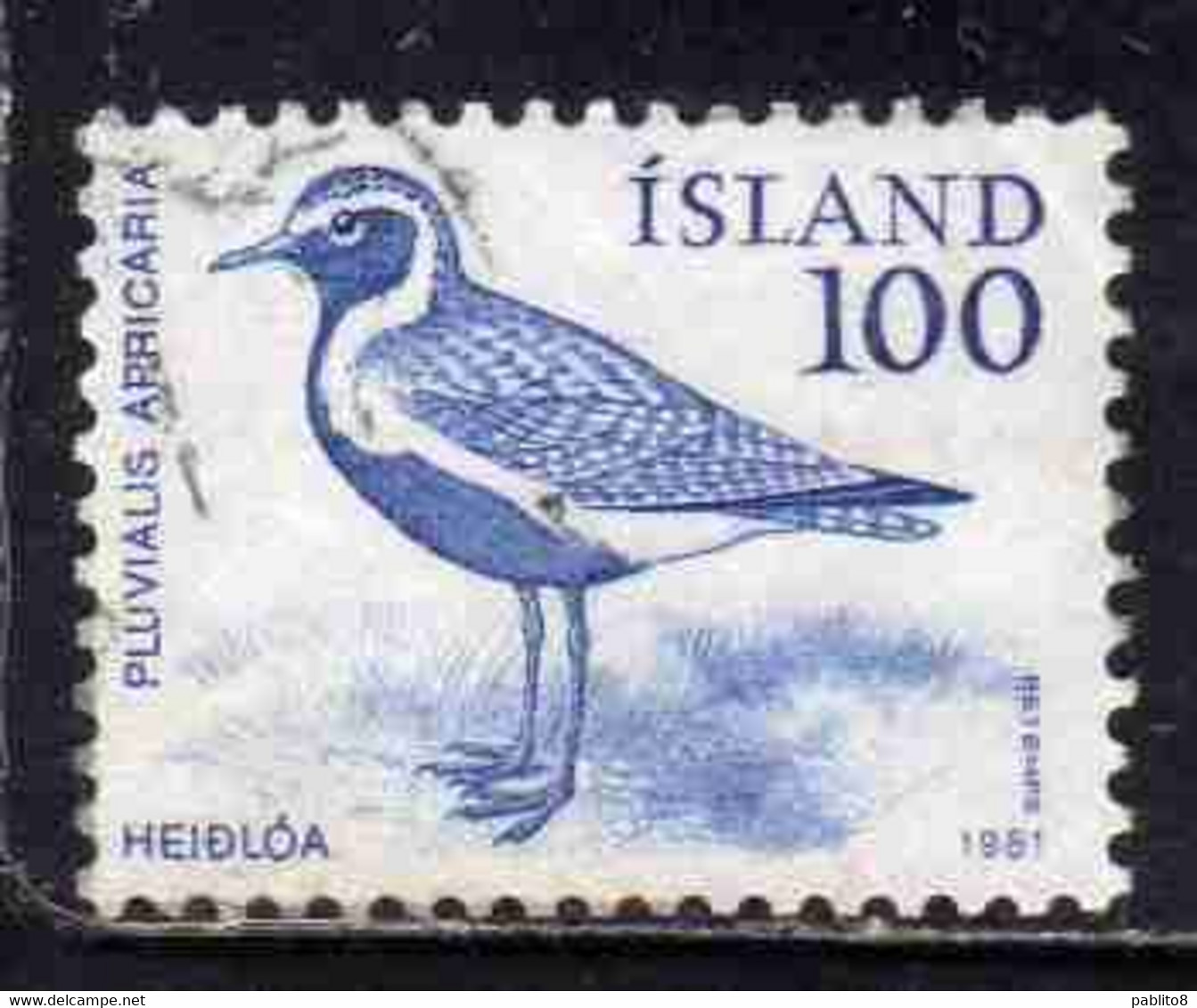 ISLANDA ICELAND ISLANDE ISLAND 1981 FAUNA ANIMALS PLUVIALIS APRICARIA BIRD 100k USED USATO OBLITERE' - Oblitérés