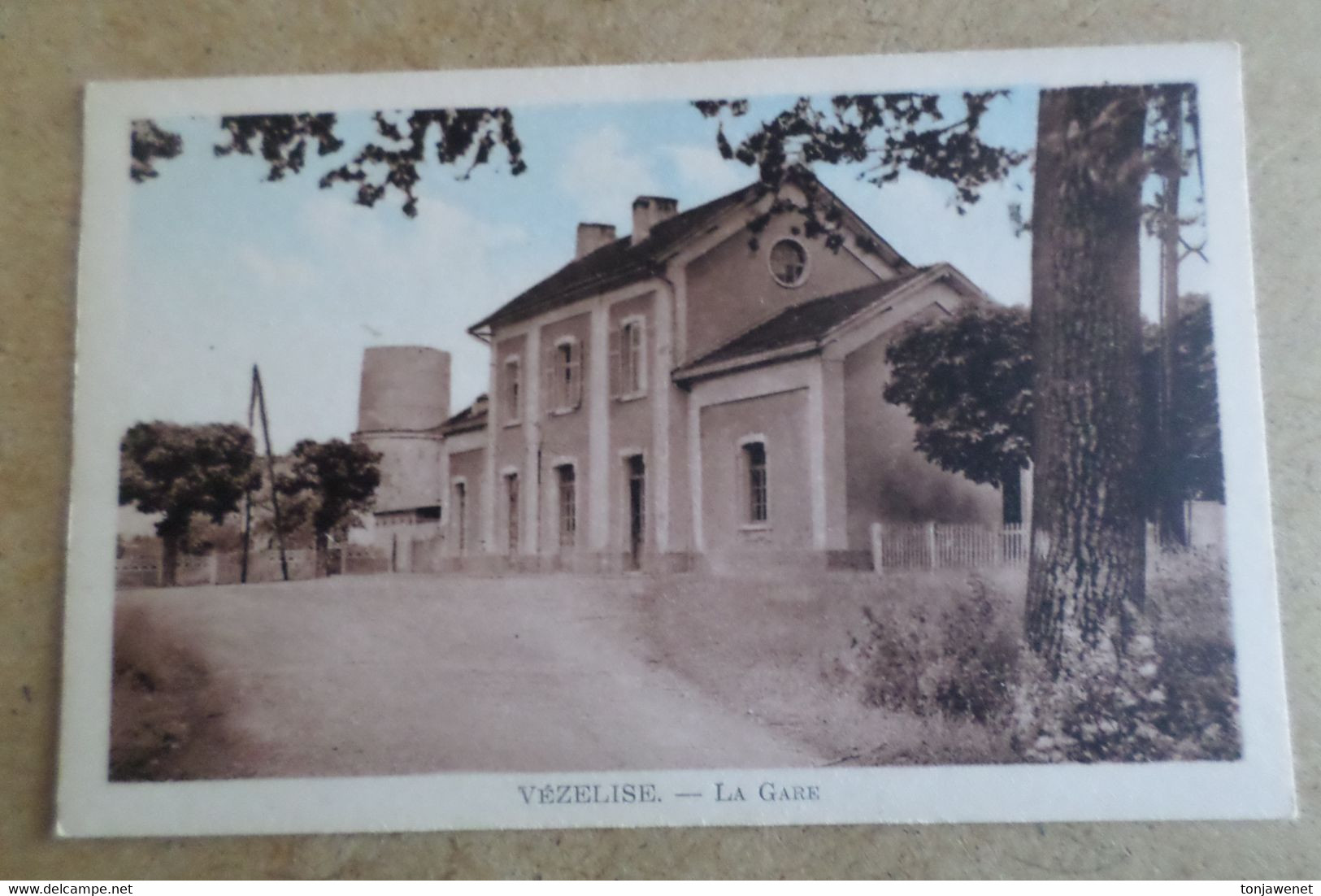 VEZELISE - La GARE ( 54 Meurthe Et Moselle ) - Vezelise