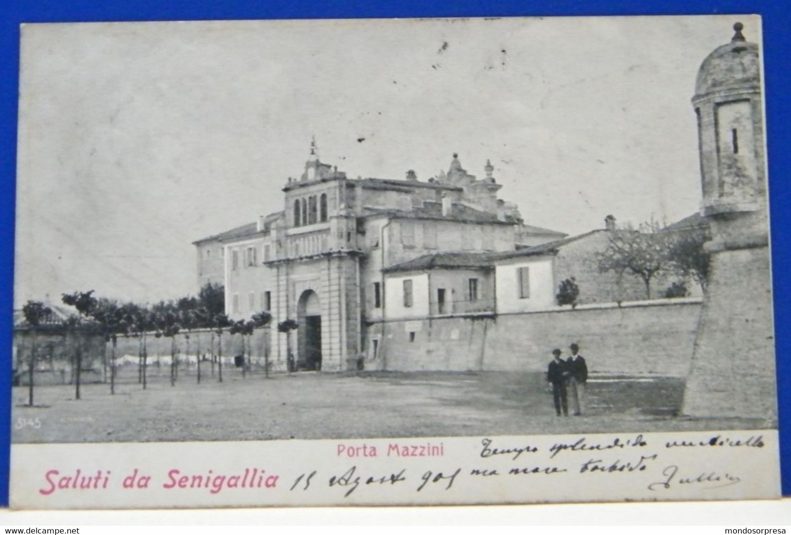 (S) SENIGALLIA  / SINIGALLIA - ANIMATA - PORTA MAZZINI -  VIAGGIATA 1905 - Senigallia