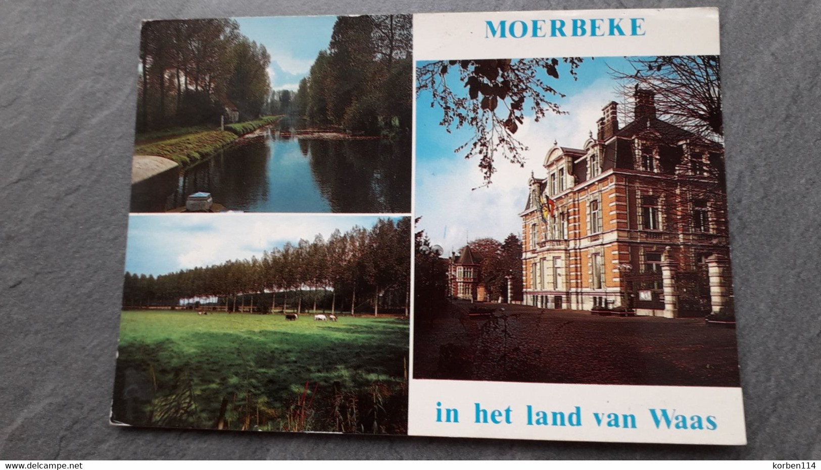 MOERVAART  WEIDEN MET CANADA'S OMZOOMD  GEMEENTEHUIS (  VOORMALIG KASTEEL LIPPENS  ) - Moerbeke-Waas