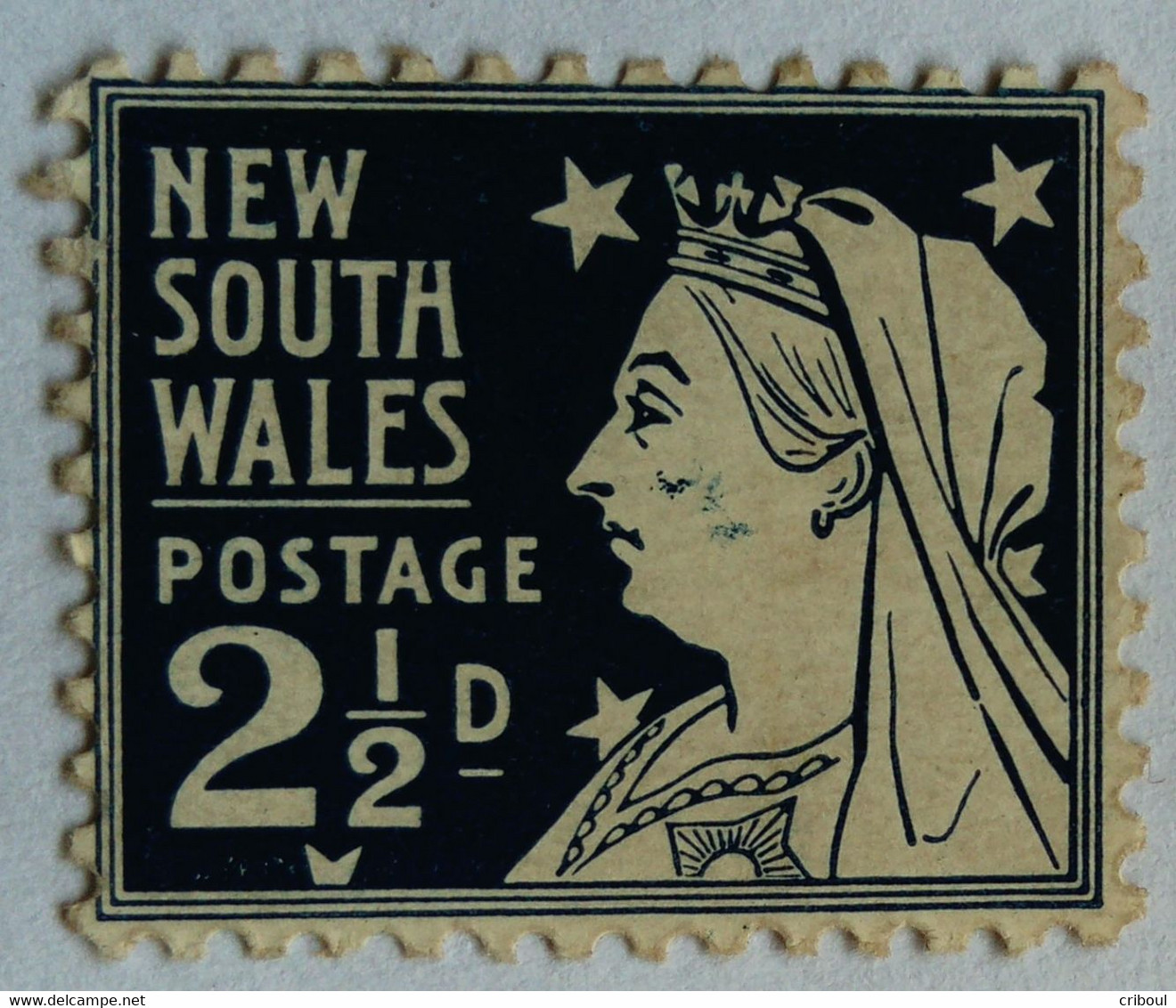 Nouvelle Galles Du Sud New South Wales Australie Australia 1899 Victoria Yvert 82 * MH - Neufs