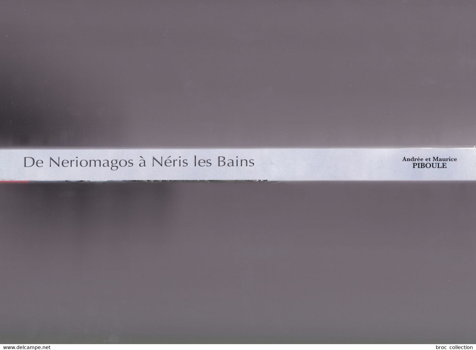 De Neriomagus à Néris-les-Bains, Andrée Et Maurice Piboule, 2008, études Archéologiques - Bourbonnais