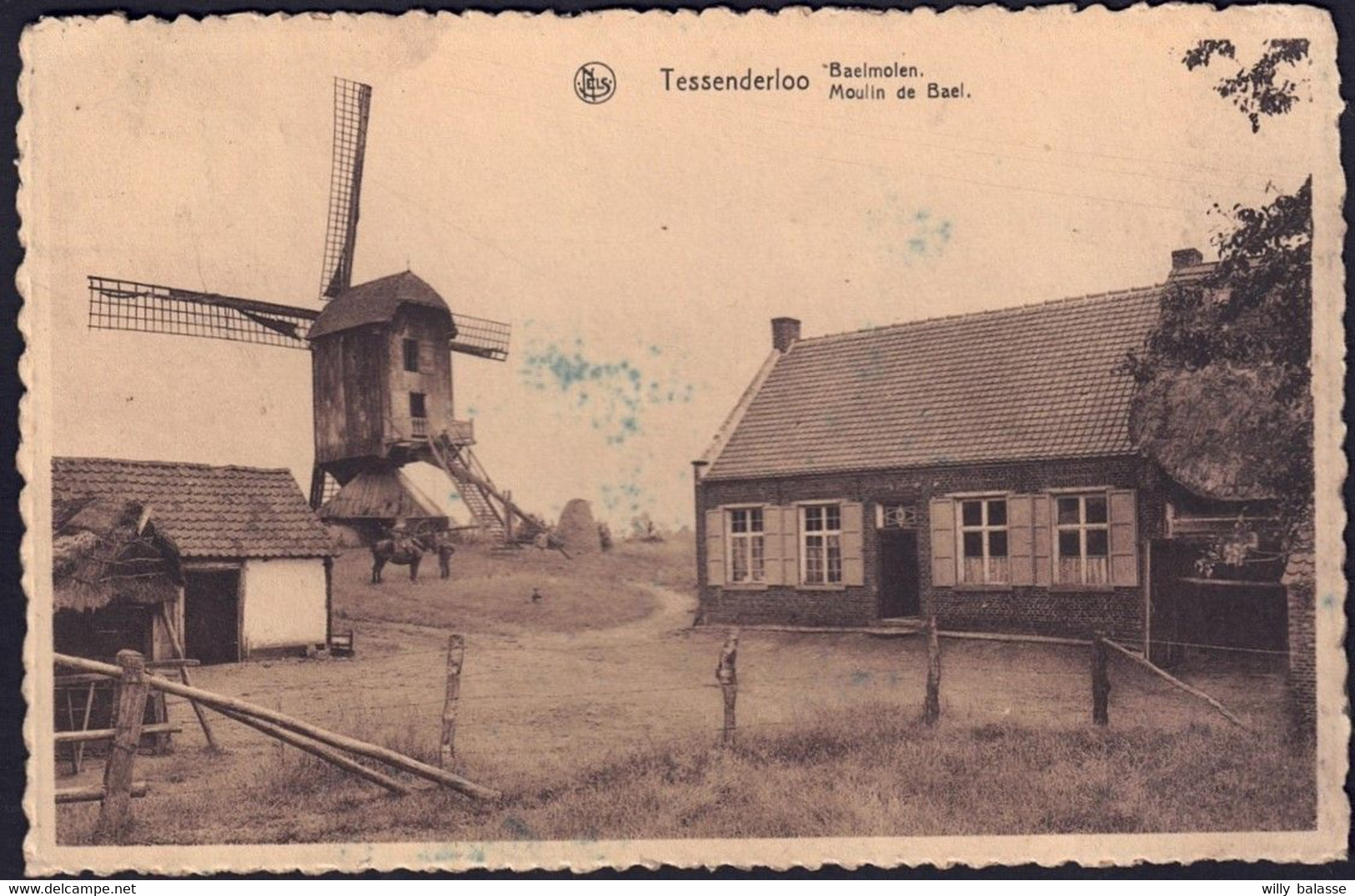 +++ CPA - TESSENDERLO - TESSENDERLOO - Bael Molen - Moulin De BAEL  // - Tessenderlo