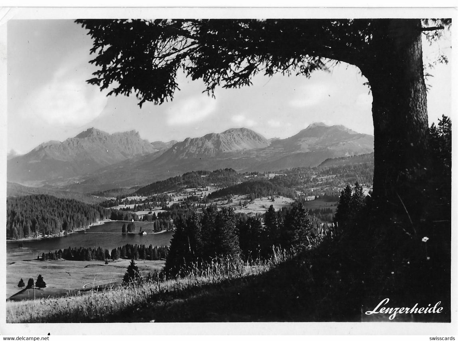 LENZERHEIDE: Sommerlandschaft Mit See 1951 - Lantsch/Lenz