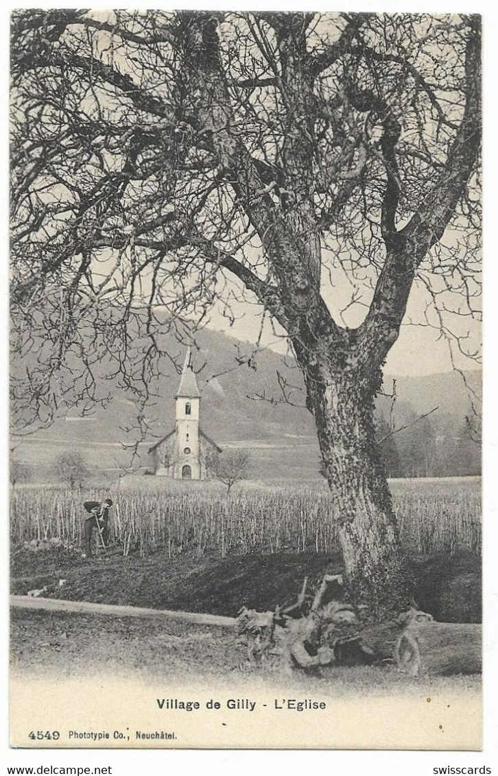 Village De GILLY: Viticulture ~1910 - Gilly