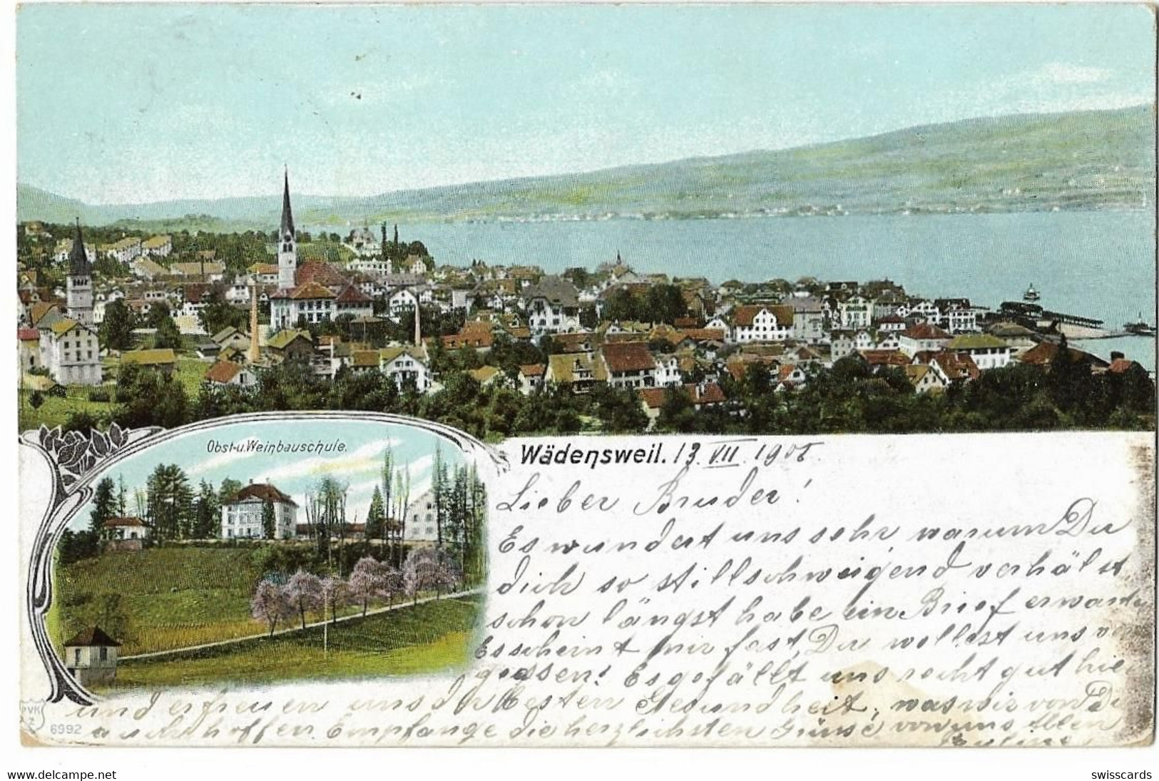 WÄDENSWIL: 2-Bild-AK Mit Obst- Und Weinbauschule 1905 - Wädenswil