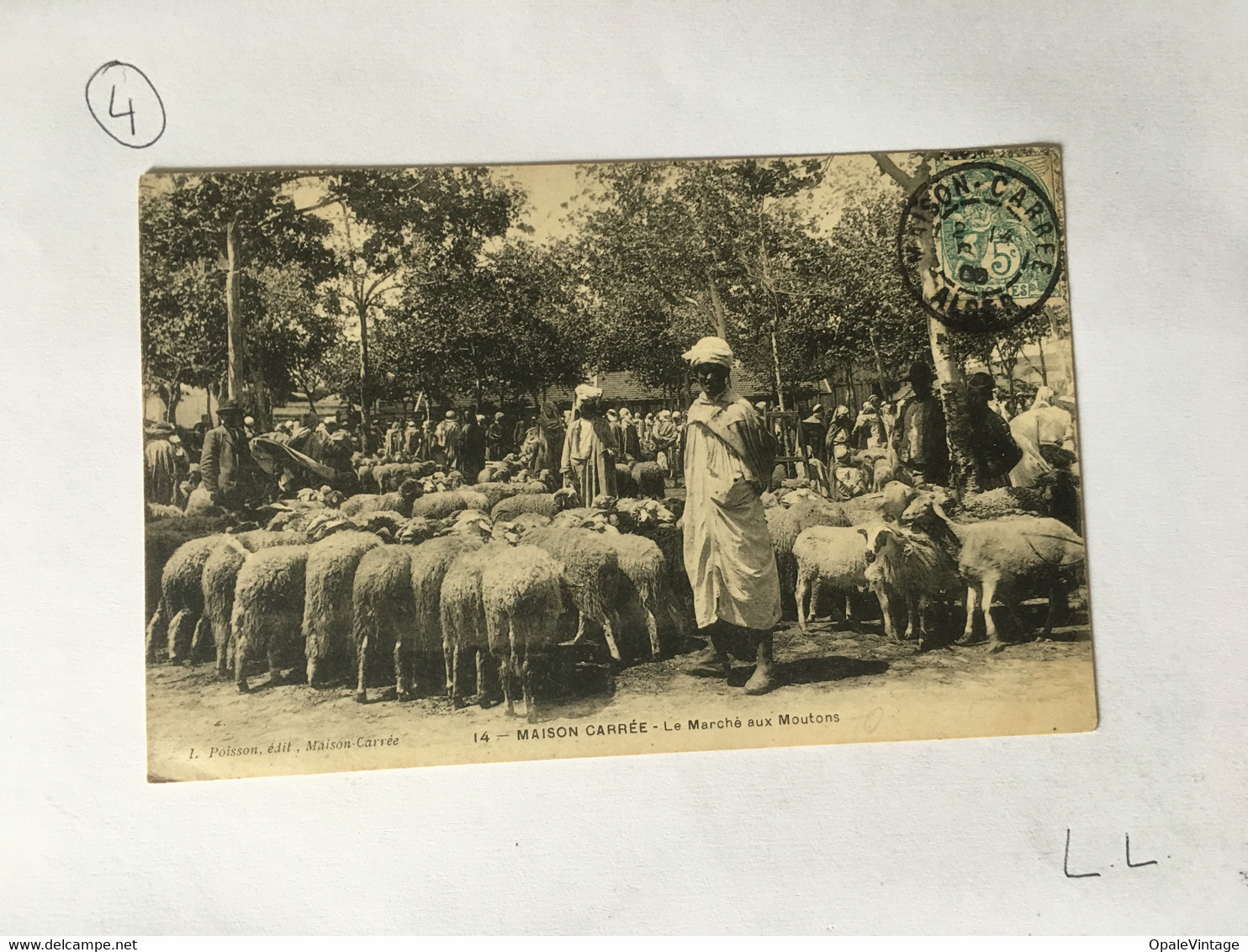 2589 CPA Algérie - MAISON CARREE - 14 Le Marché Aux Moutons - Andere & Zonder Classificatie