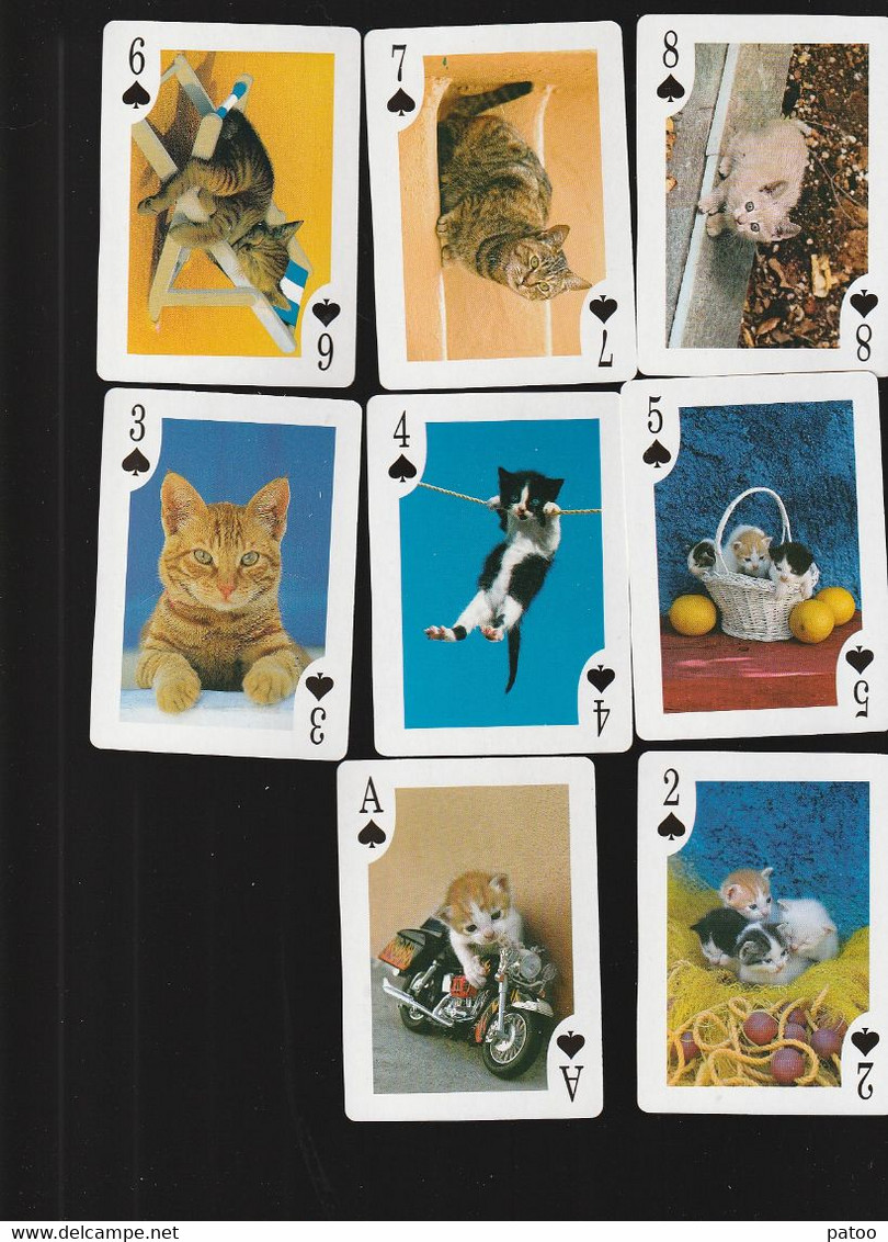 JEU DE 52 CARTES (SANS JOKERS) /  52 PHOTOS DIFFERENTES  DE CHATS / QUALITE LUXE / EDITEES EN GRECE - 54 Karten