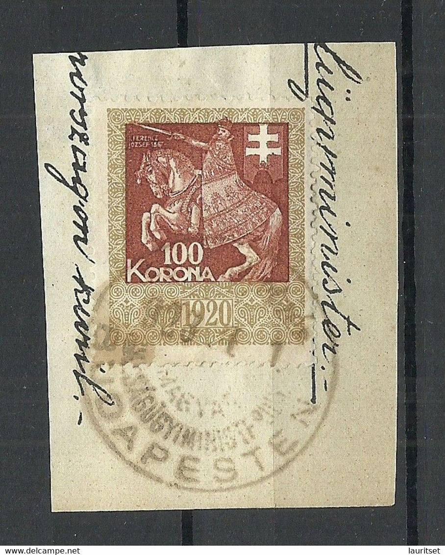 UNGARN HUNGARY 1920ies Revenue Tax Steuermarke 100 Korona On Out Out O - Steuermarken