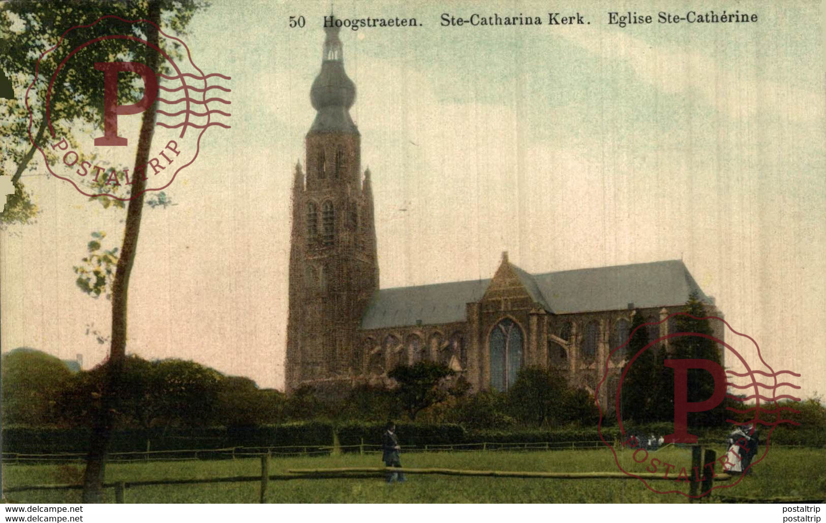 HOOGSTRAETEN  Hoogstraten  Ste Catherina Kerk  ANVERS ANTWERPEN - Hoogstraten