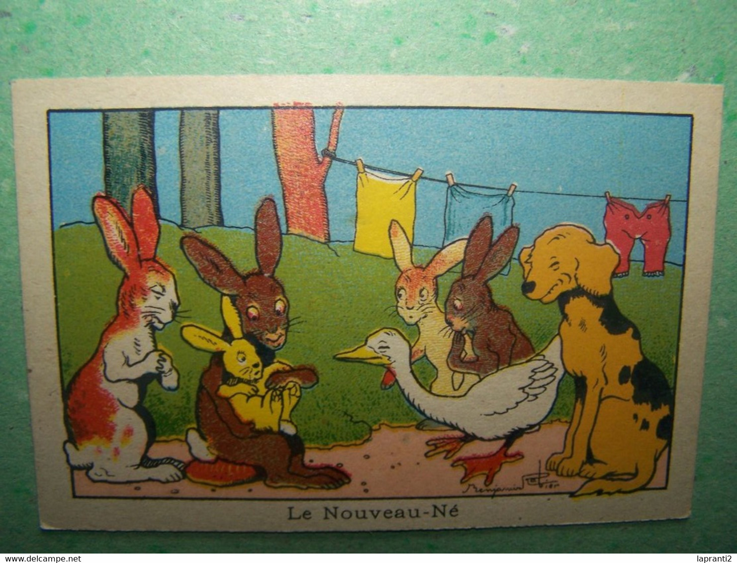 LES ILLUSTRATEURS. BENJAMIN RABIER. LES LAPINS. LES CHIENS. LES OIES. "LE NOUVEAU-NE" - Rabier, B.