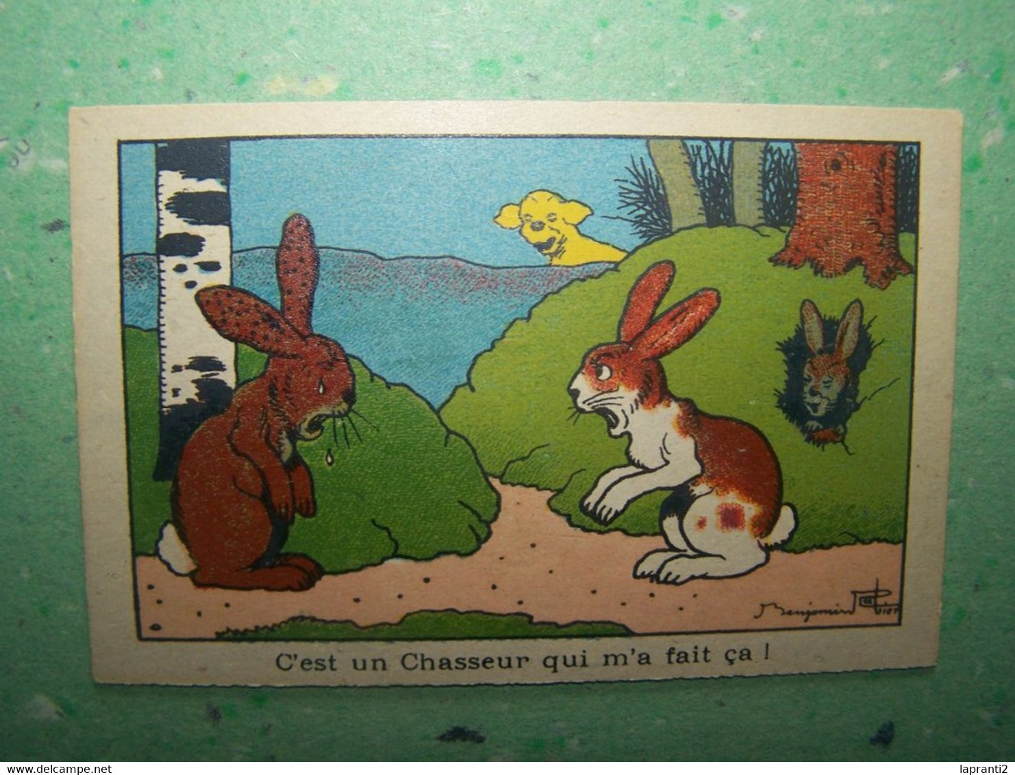 LES ILLUSTRATEURS. BENJAMIN RABIER. LES LAPINS. LES CHIENS.  "C'EST UN CHASSEUR QUI M'A FAIT CA!" - Rabier, B.