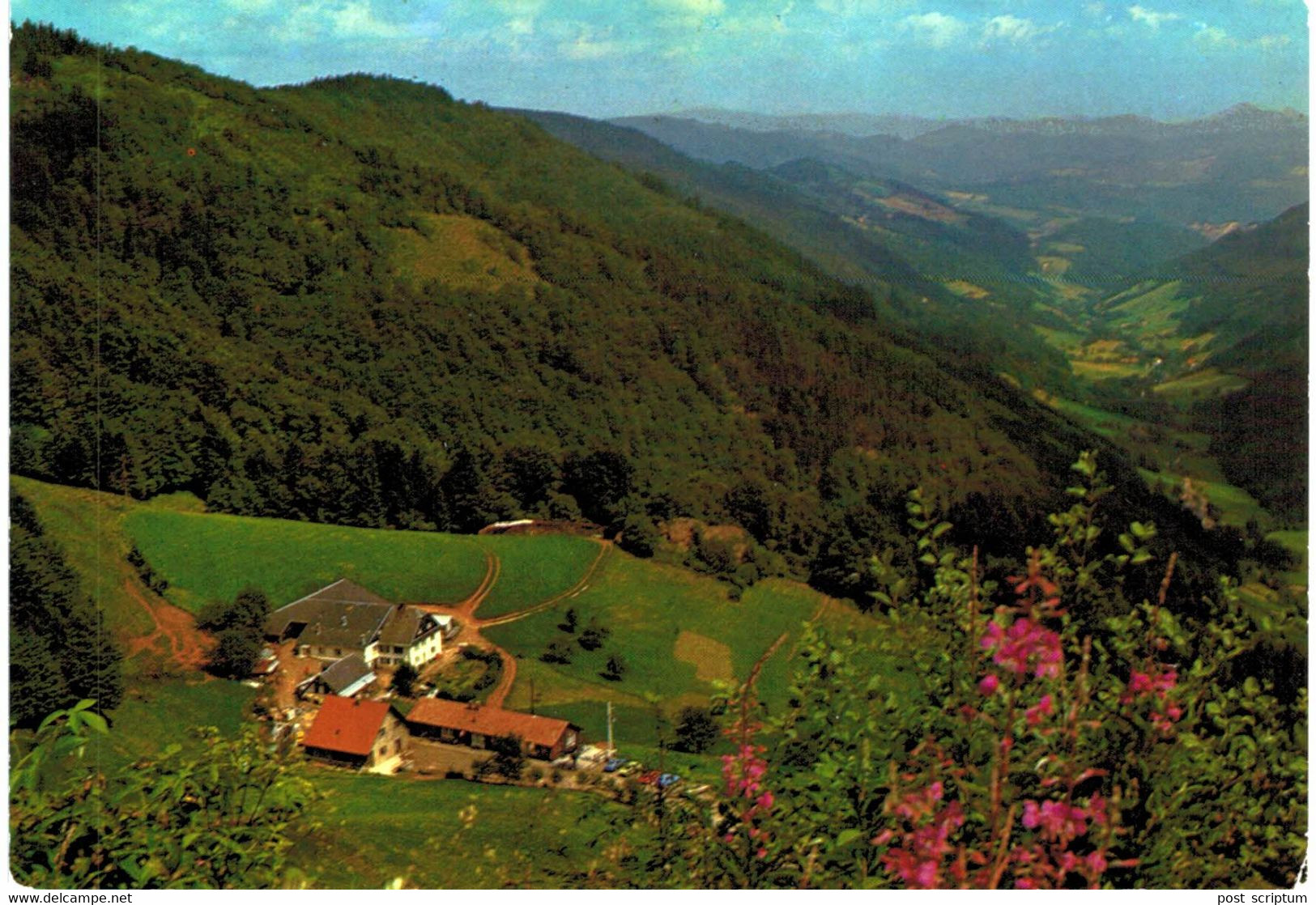 Ferme Auberge La Graine Johé Lapoutroie - 2 Cartes - Lapoutroie