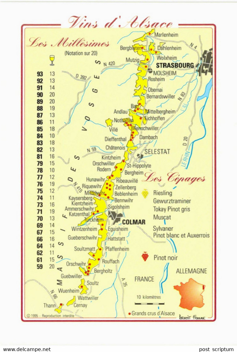 Thème - Vigne - Vins D'alsace - Vignes