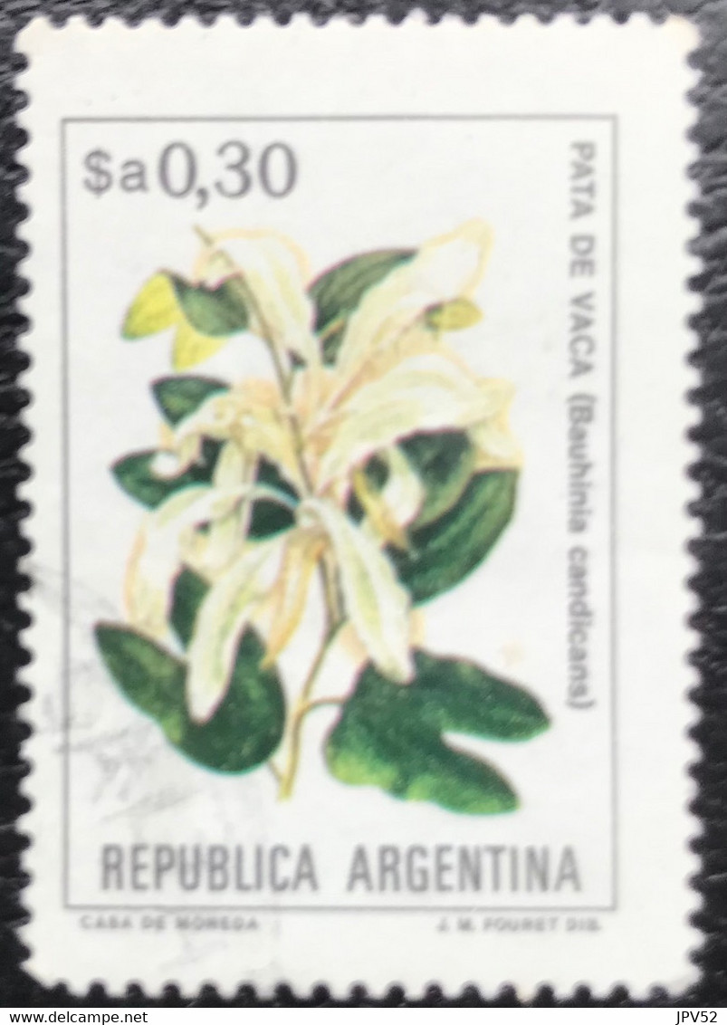 Republica Argentina - Argentinië - C11/34 - (°)used - 1983 - Michel 1638 - Pata De Vaca - Used Stamps