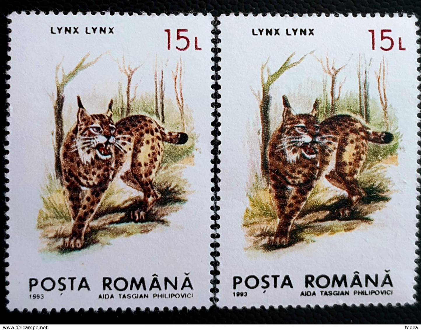 Animals Fauna  Linx Linx Errors Romania 1993 # Mi 4896 Printed  With Color Difference - Variétés Et Curiosités