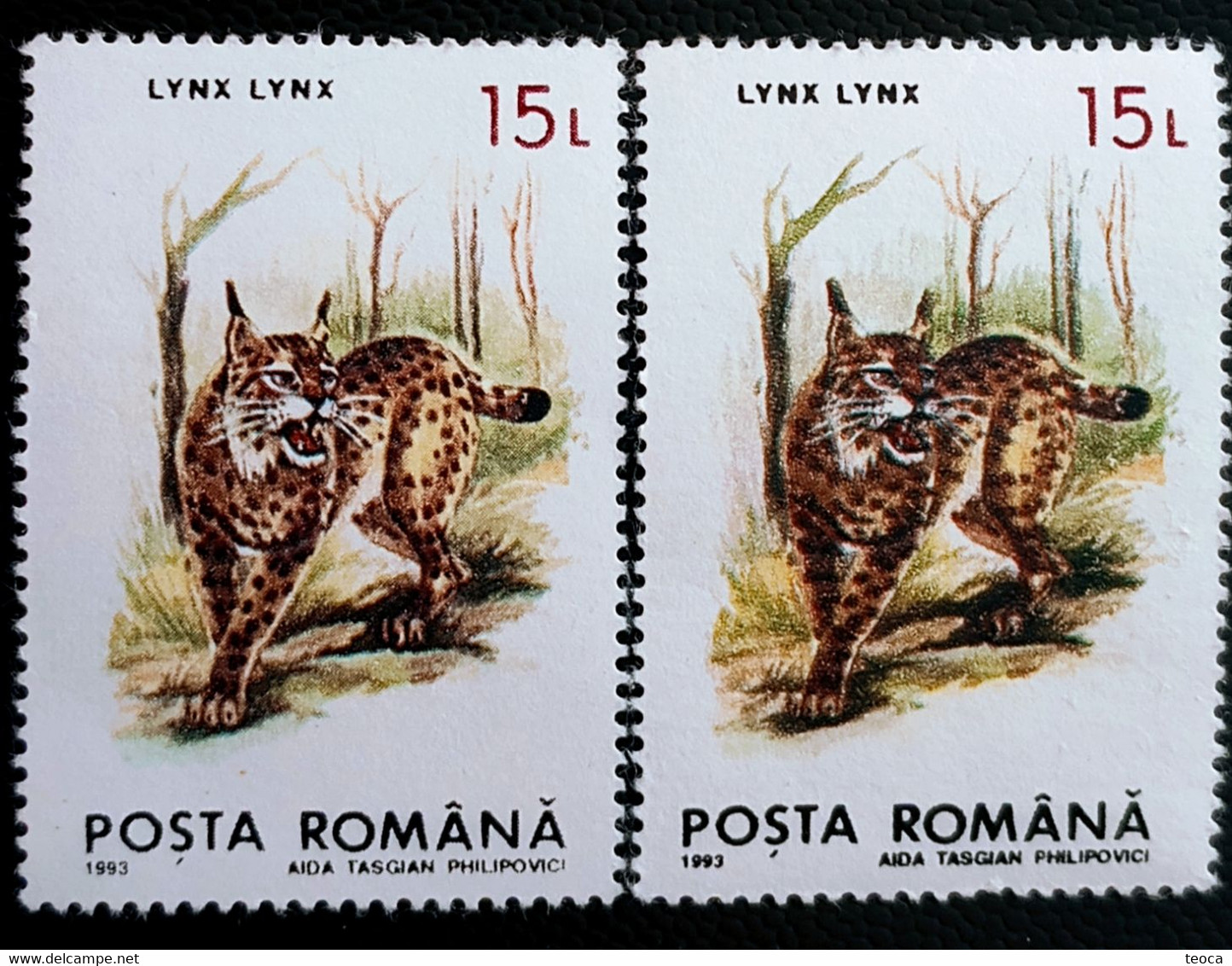 Animals Fauna  Linx Linx Errors Romania 1993 # Mi 4896 Printed  With Color Difference - Errors, Freaks & Oddities (EFO)