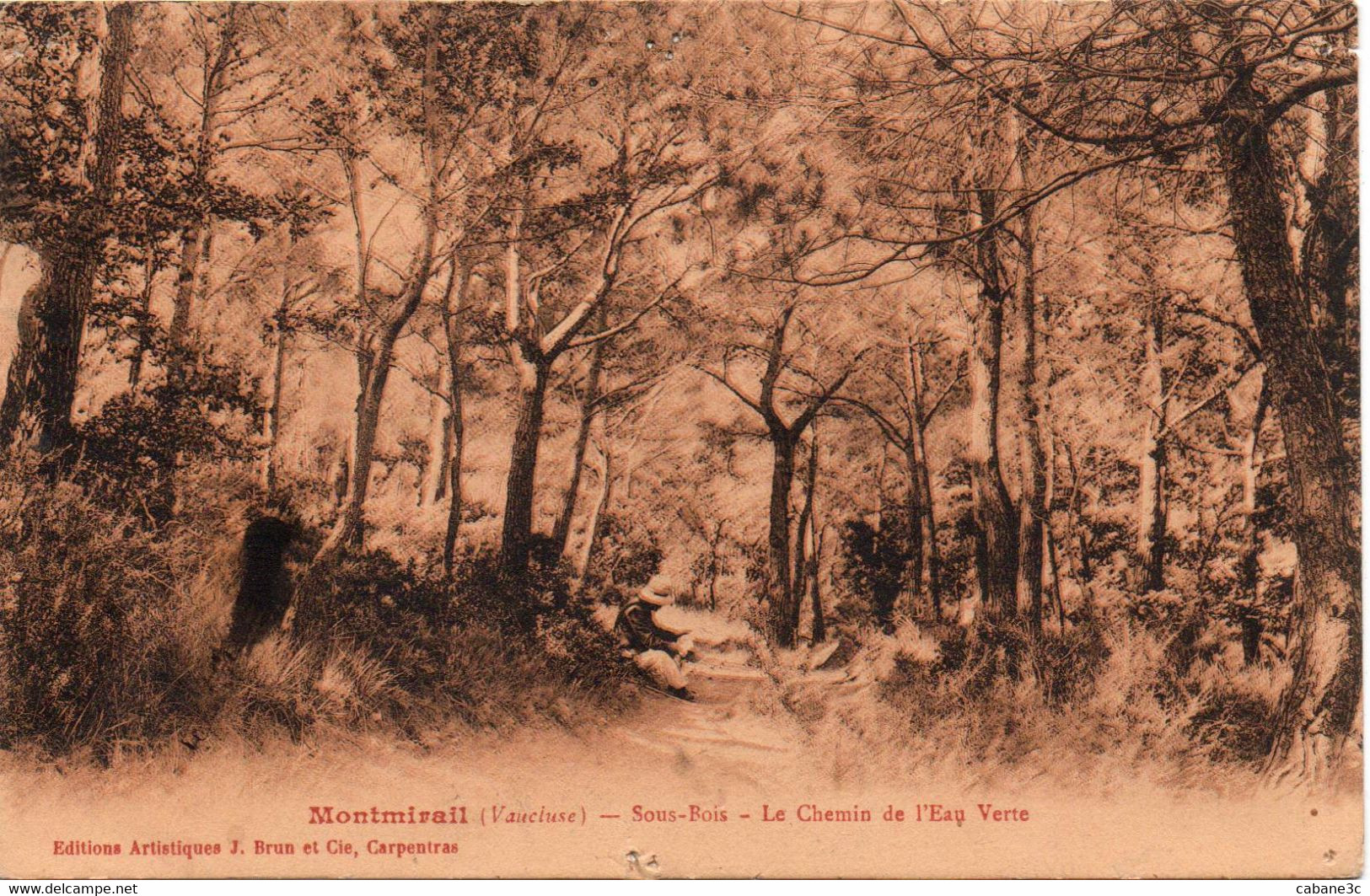 MONTMIRAIL - Sous-bois - Le Chemin De L'Eau Verte - Montmirail