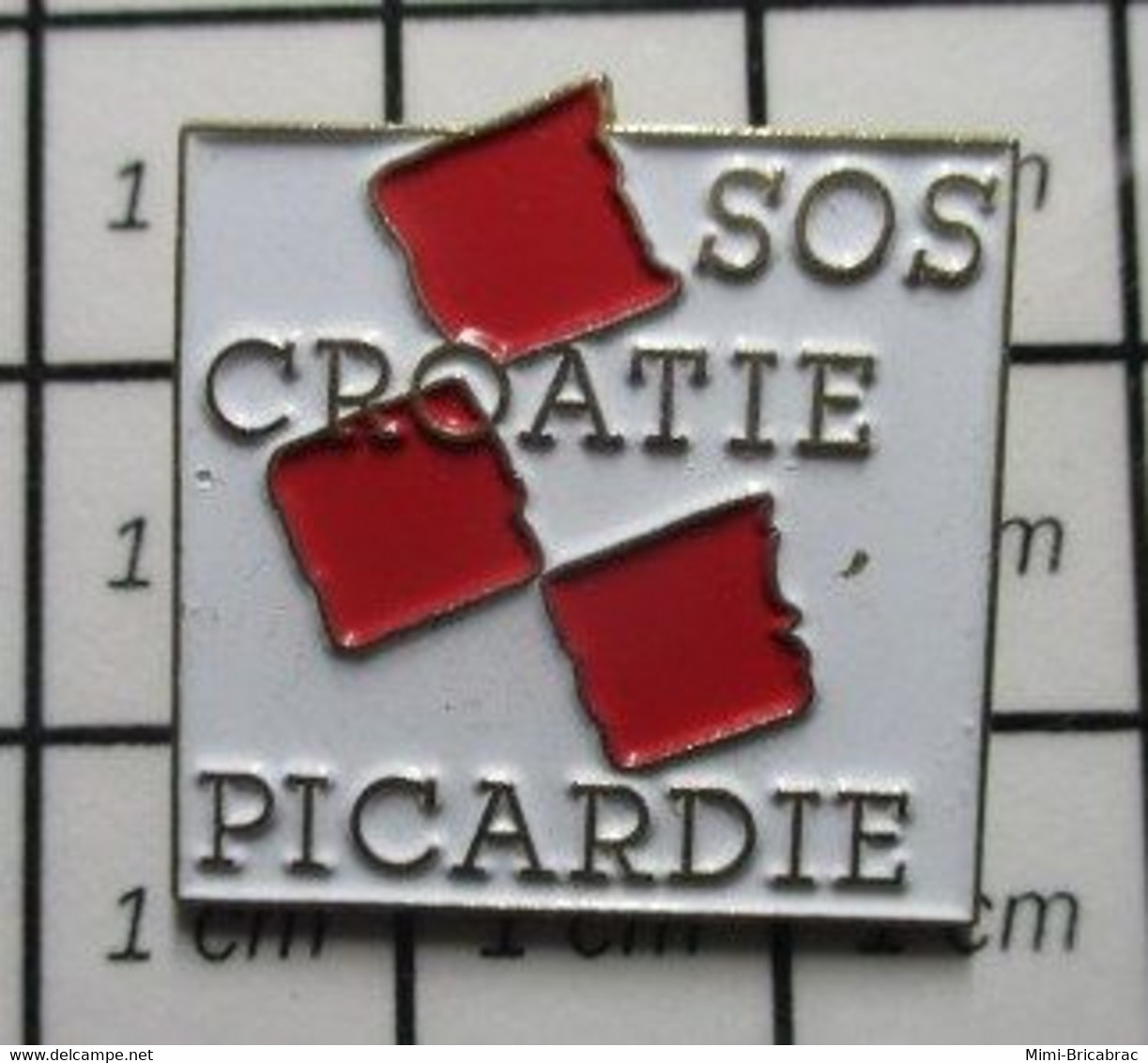 510f Pin's Pins / Beau Et Rare / THEME : ASSOCIATIONS / SOS PICARDIE CROATIE - Associations