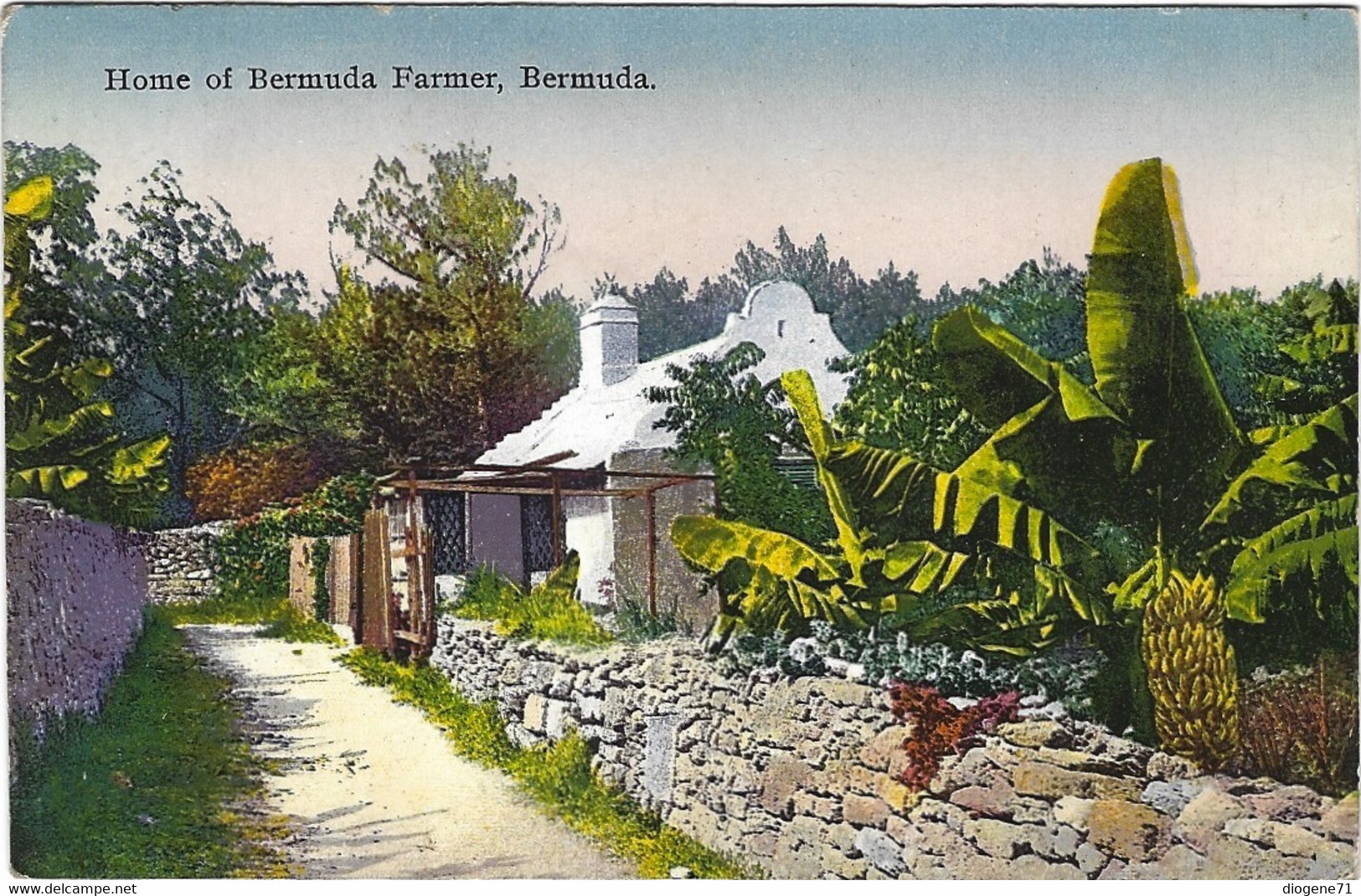 Bermuda Home Of Bermuda Farmer - Bermudes