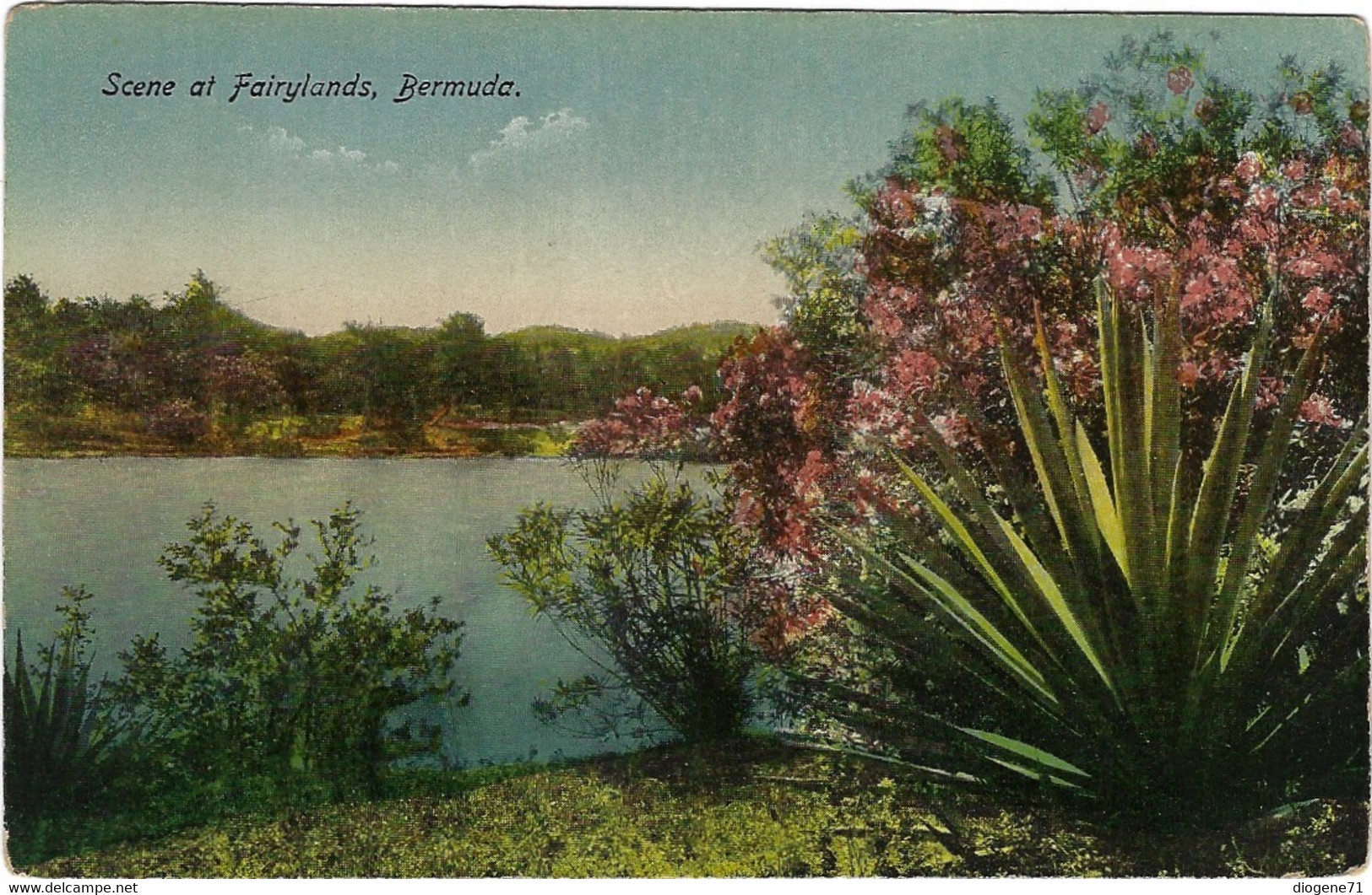 Bermuda Scene At Fairylands - Bermudes