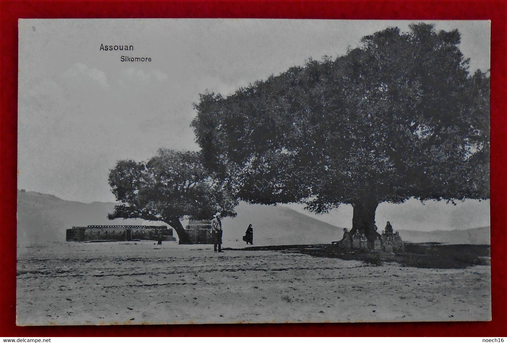 Old Postcard Assouan Sikomore - Aswan