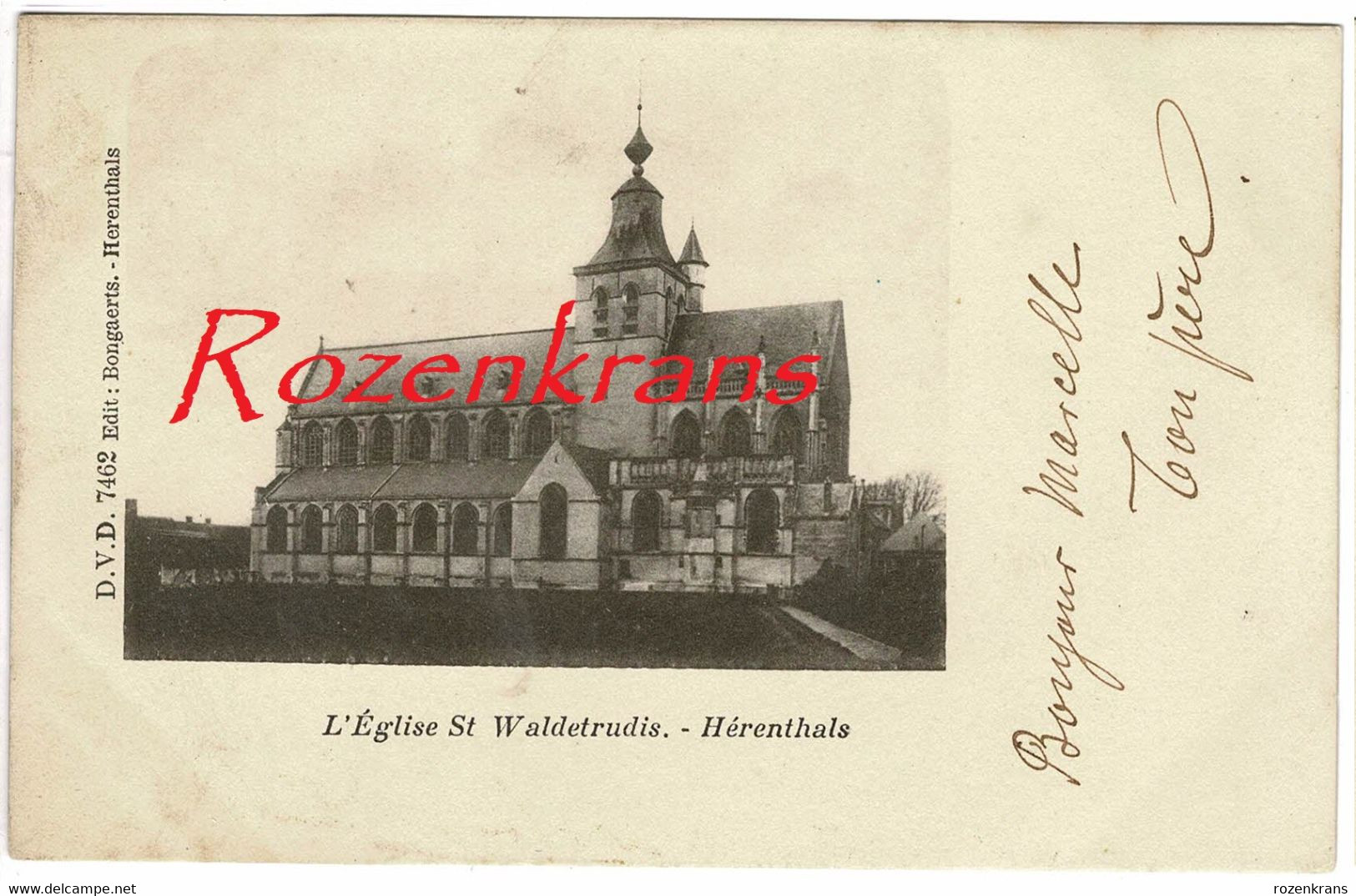 Herentals Herenthals L'Eglise St Waldetrudis Sint-Waldetrudiskerk ZELDZAAM Antwerpse Kempen - Herentals